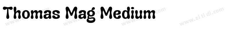 Thomas Mag Medium字体转换